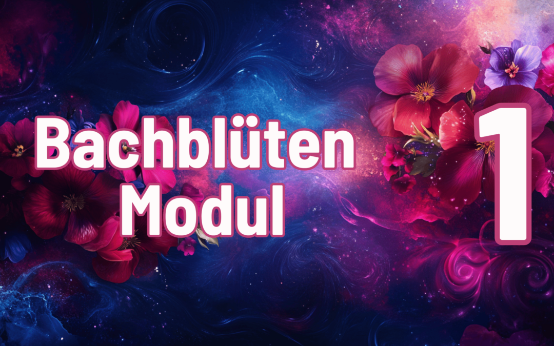 BB-Modul-1