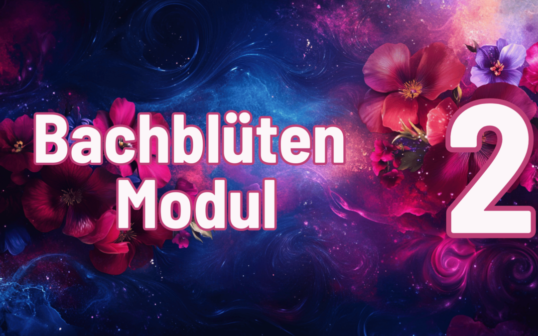 BB-Modul-2