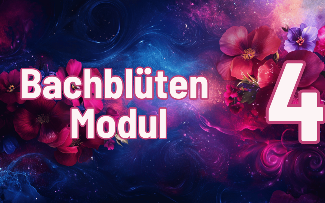 BB-Modul-4