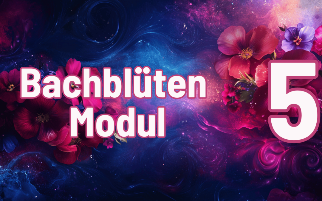 BB-Modul-5