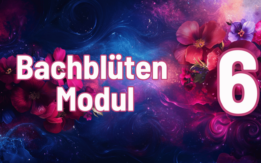 BB-Modul-6